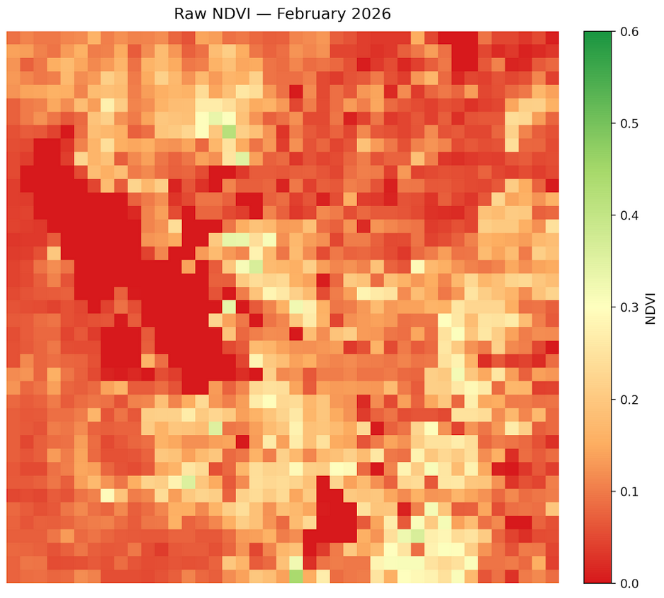 February 2026 NDVI Map