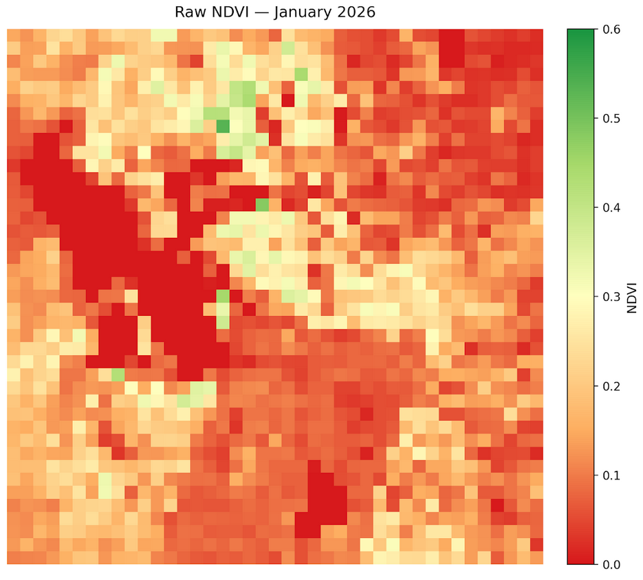 January 2026 NDVI Map